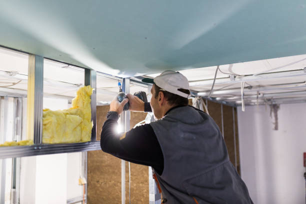 Best Commercial Insulation in River Park, FL