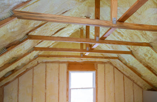 Best Insulation Maintenance and Repair in River Park, FL