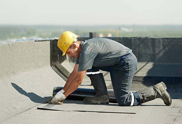 River Park, FL Insulation Contractor Pros