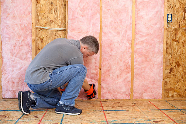 Best Types of Insulation in River Park, FL