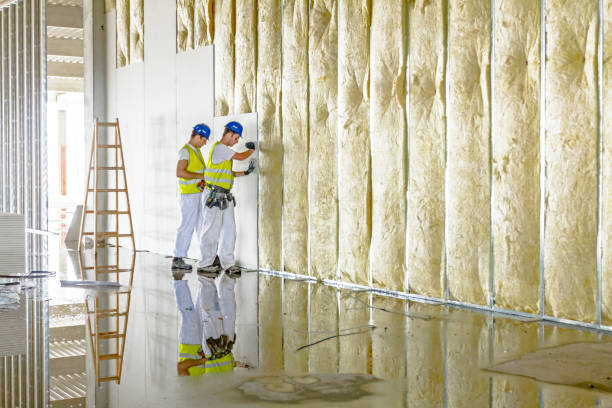 Best Types of Insulation in River Park, FL